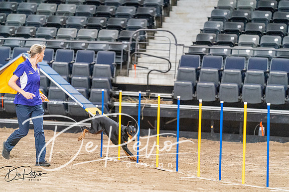 20260929-DSC06376