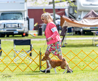 20230513-DSC09378