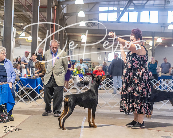 20230401-DSC06362