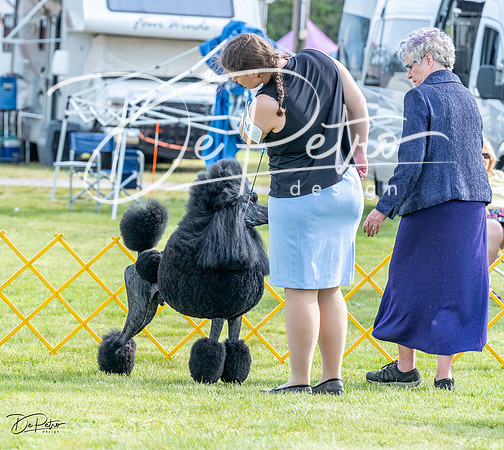 20230512-DSC06698