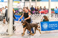 20261024-DSC00541