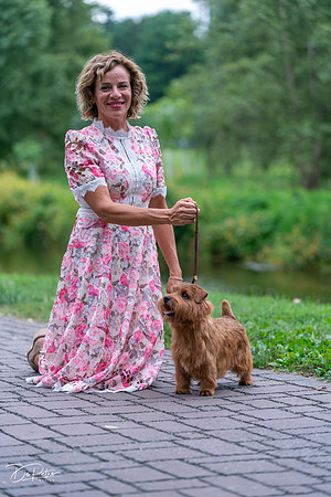 20260912-DSC03296