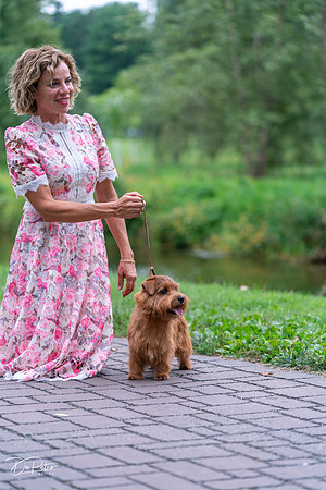 20260912-DSC03264