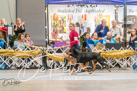 20260927-DSC05707