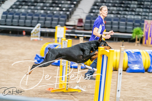 20260929-DSC06734