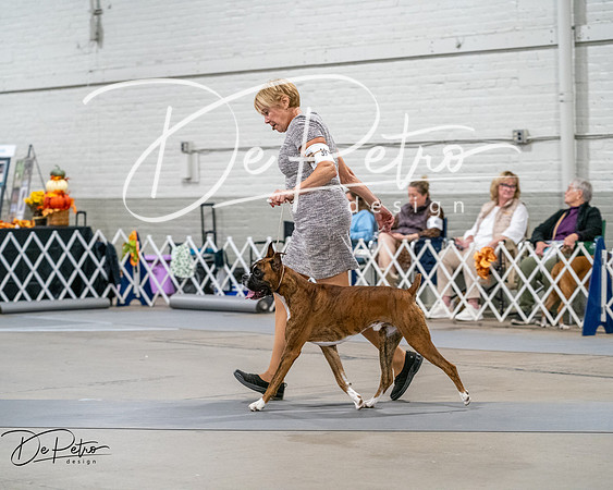 20261022-DSC02778