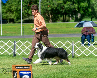 20250629-DSC00795