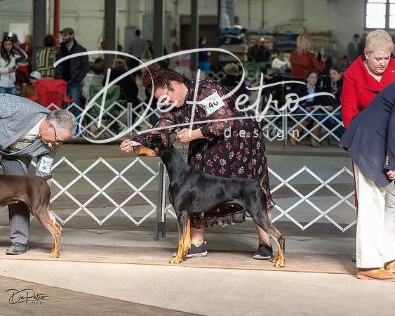 20230402-DSC08858