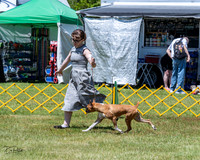 20230514-DSC03987