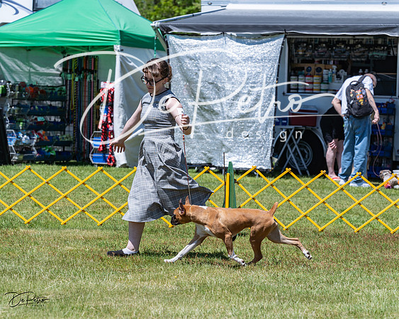 20230514-DSC03987