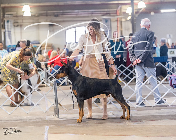 20230401-DSC06557