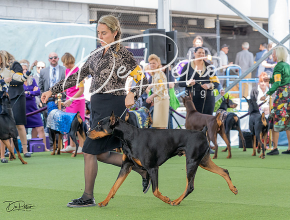 20230509-DSC01175