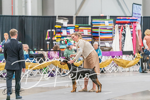 20260927-DSC05303