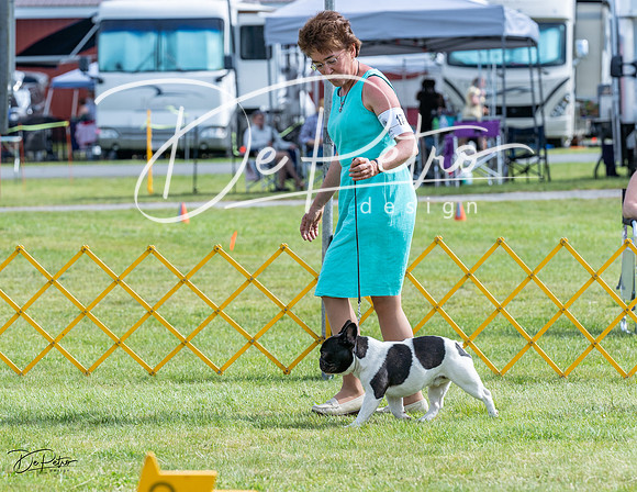 20230513-DSC00373