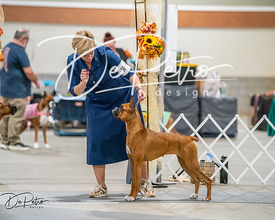 20261022-DSC03214