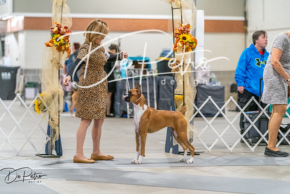 20261022-DSC00131