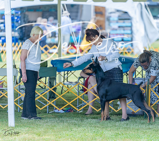 20230513-DSC08817