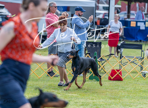20230513-DSC08729