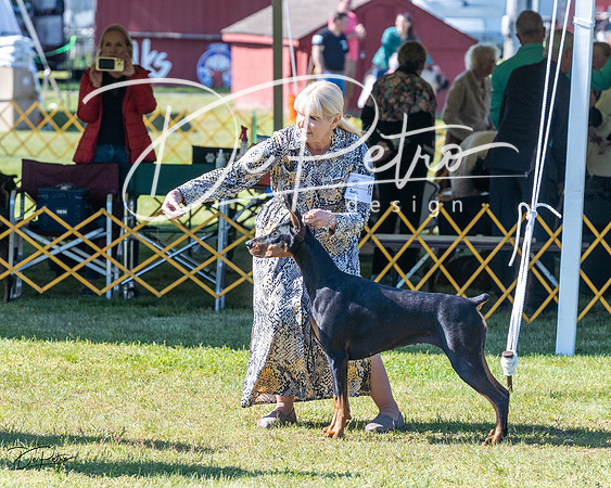 20230514-DSC02816
