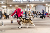 20230331-DSC05361