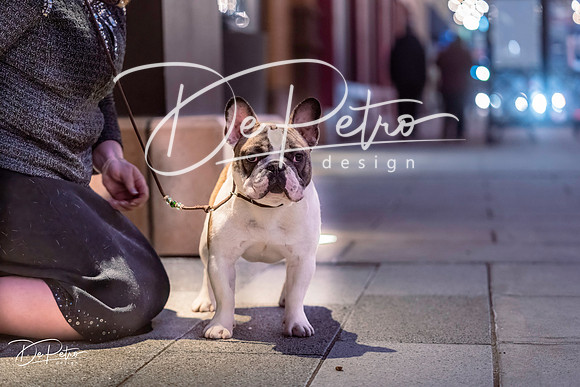 20220305-DSC00152