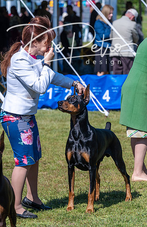 20230514-DSC03475