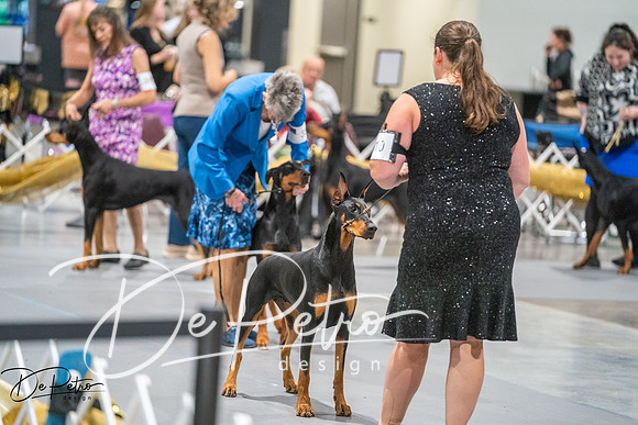 20260926-DSC04142
