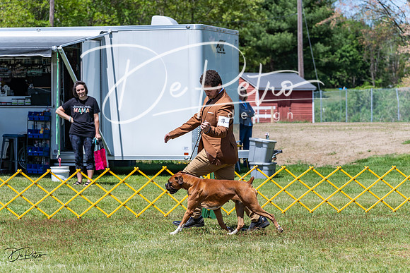 20230514-DSC04136
