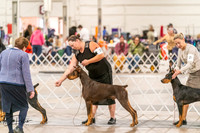 20261024-DSC00585