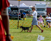 20230513-DSC00034