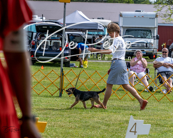 20230513-DSC00034
