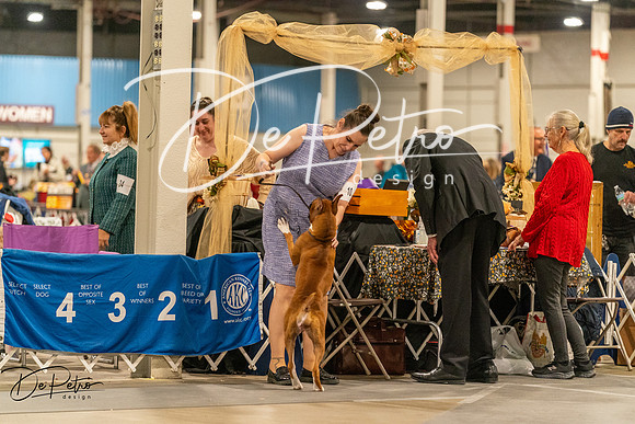 20261023-DSC05317