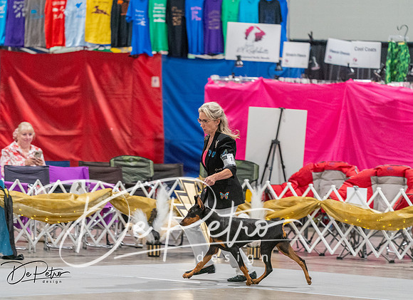 20260926-DSC04990