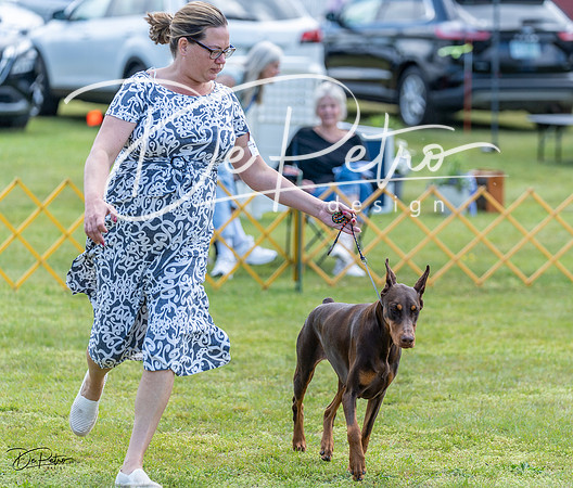 20230513-DSC09022