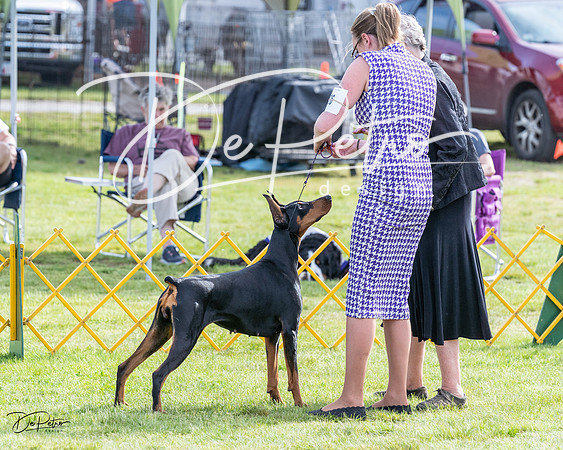 20230513-DSC01058