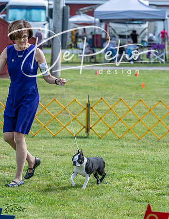 20230513-DSC00417