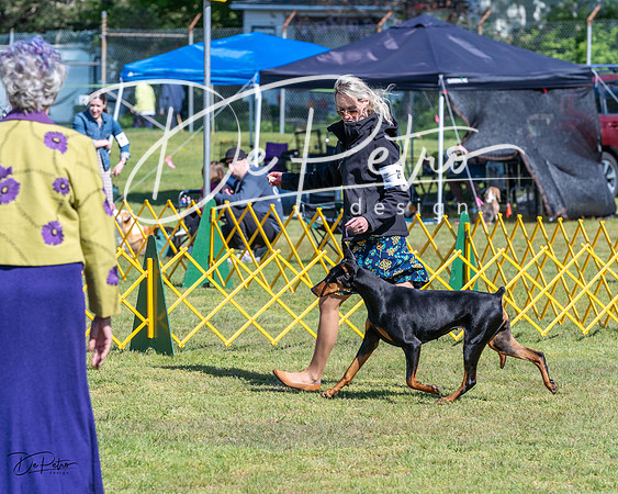 20230514-DSC03429