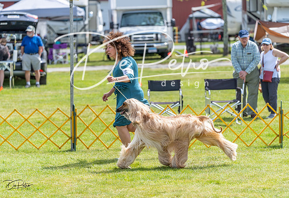 20230513-DSC09454