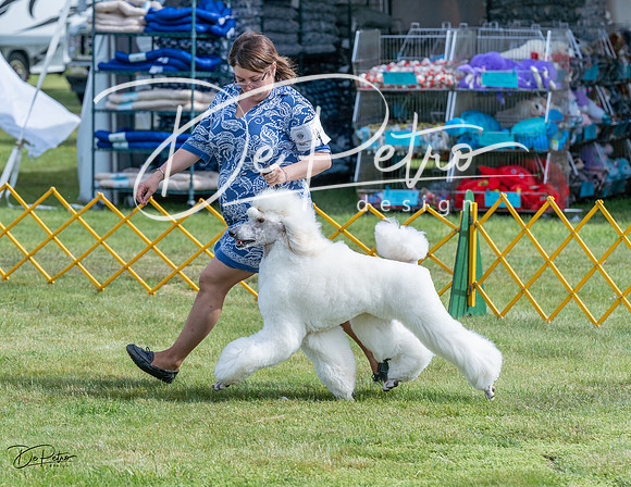 20230513-DSC00323