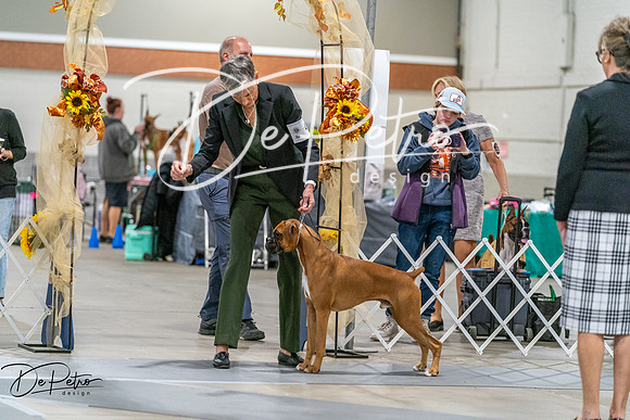 20261022-DSC09787