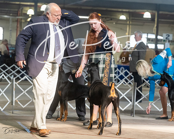 20230402-DSC09178