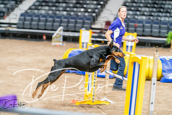 20260929-DSC06733