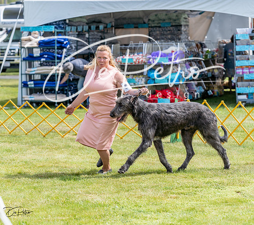 20230513-DSC09793