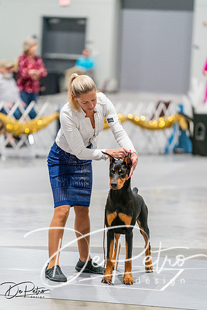 20260930-DSC06764
