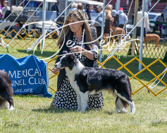 20230514-DSC04787