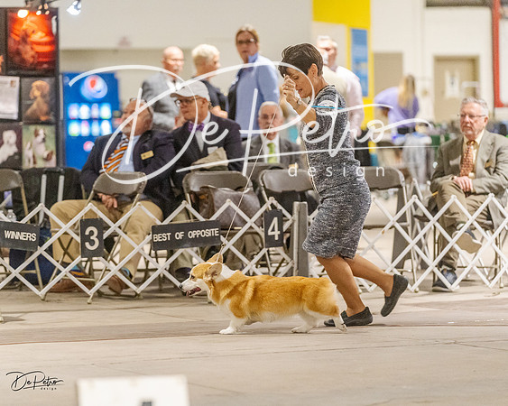 20230401-DSC08080