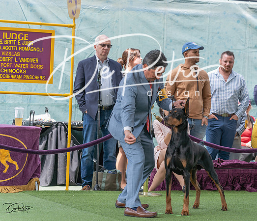 20230509-DSC01342