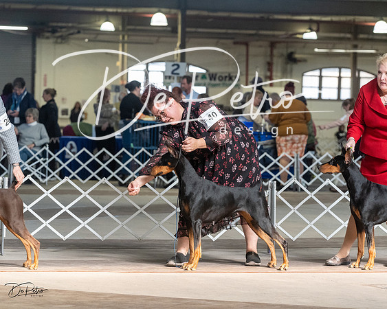 20230402-DSC08923