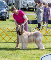 20230513-DSC01236