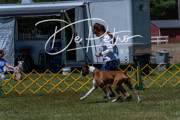 20230514-DSC04431